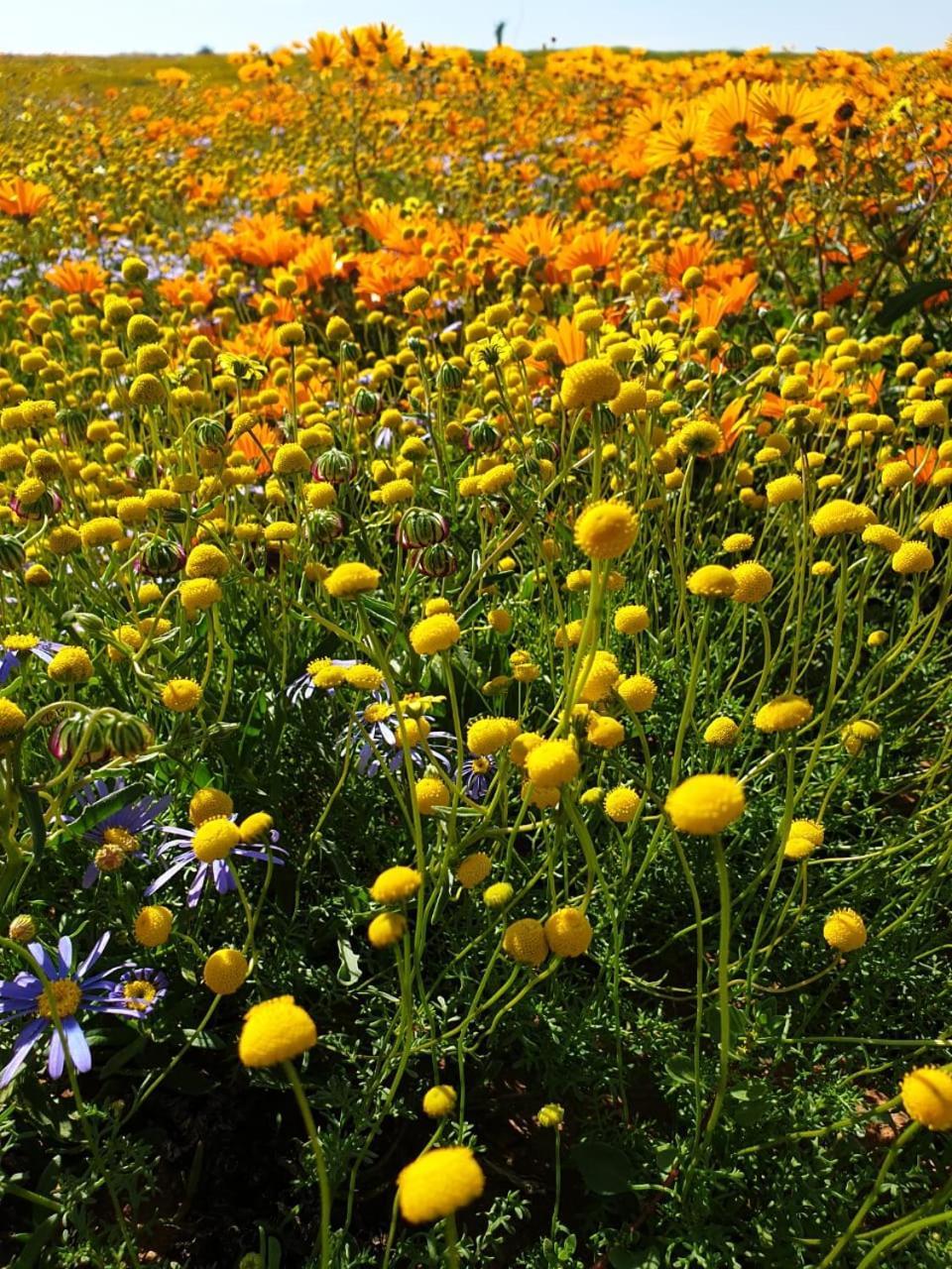 Namaqualand Eco Lodge Soebatsfontein Εξωτερικό φωτογραφία